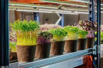 Tiềm năng ngành nông sản Ba Lan